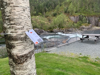 Barmark-sesongen 2023 er i full gong med totalt 100 tur-O-postar